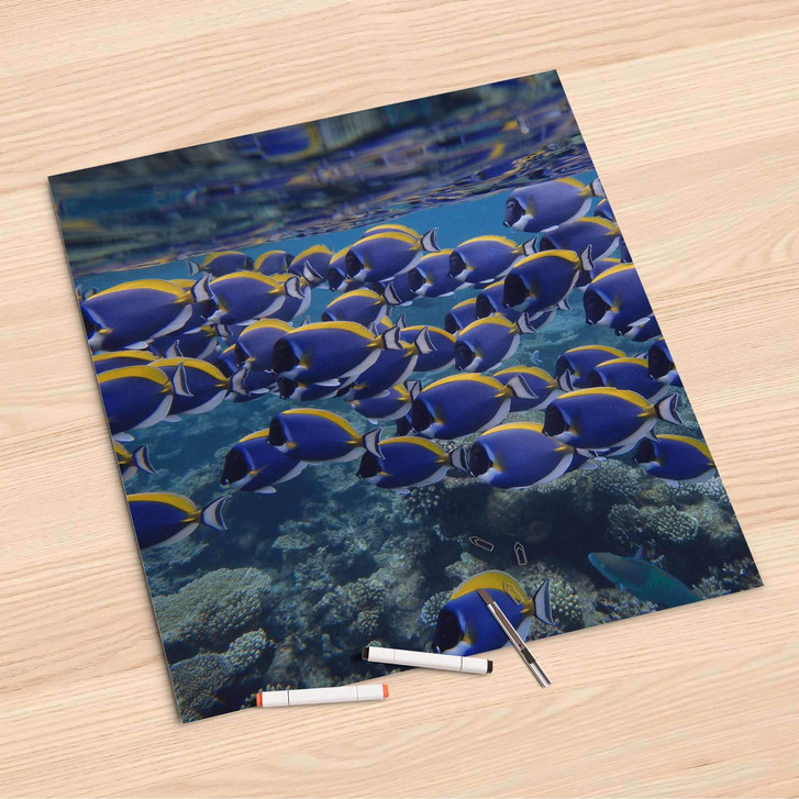 Folienbogen (60x60cm) - Fish swarm - CR107064