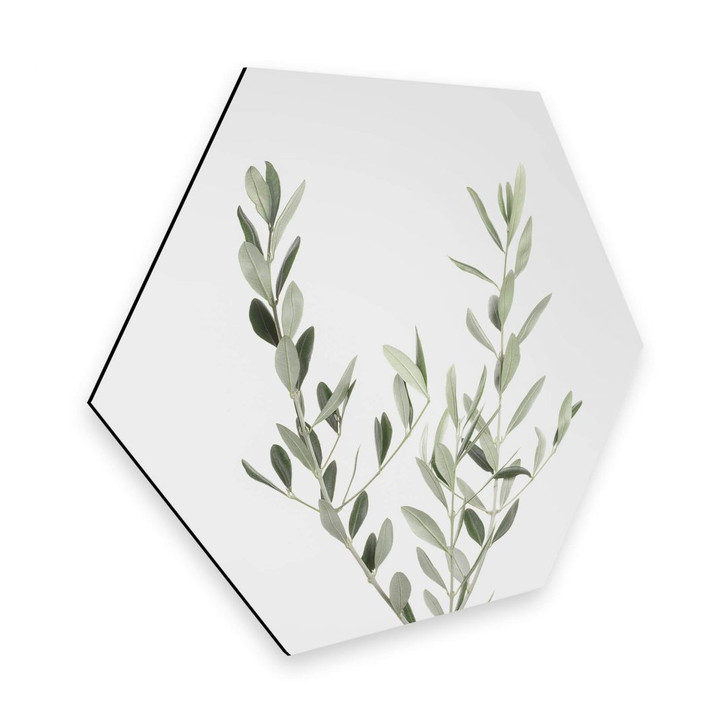 Hexagon - Alu-Dibond Sisi & Seb - Olivenzweig - WA302632