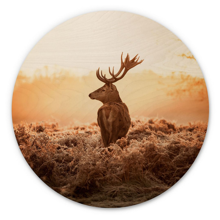 Holzbild Majestätischer Hirsch - Rund - WA400275