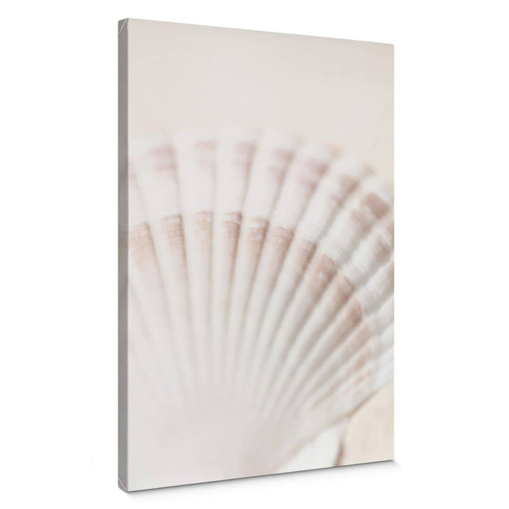 Leinwandbild 1X Studio - Jakobsmuschel - WA341081