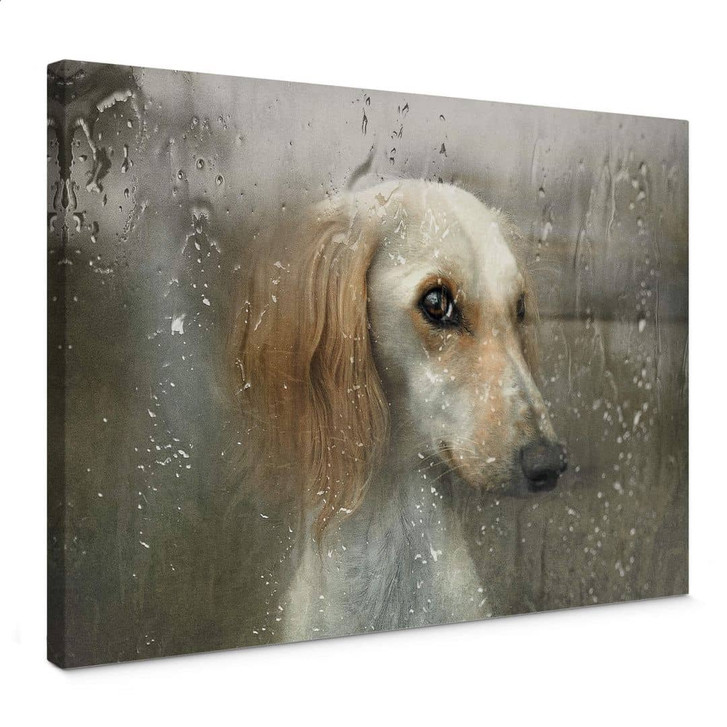 Leinwandbild Melik-Nubarova - Treuer Hund wartet am Fenster - WA403565