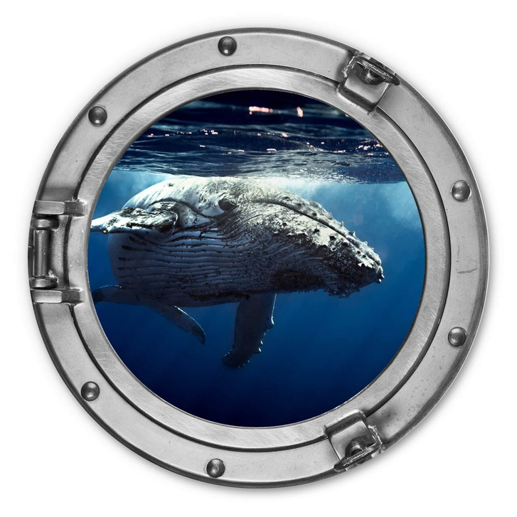 Alu-Dibond 3D-Optik Bullauge - Buckelwal auf Tauchgang - Rund - WA294498
