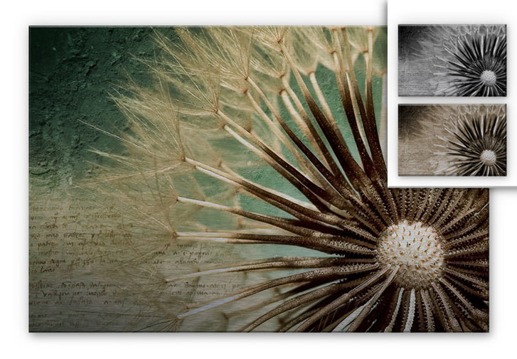 Alu-Dibond Bild Pusteblumen- Poesie - WA112501