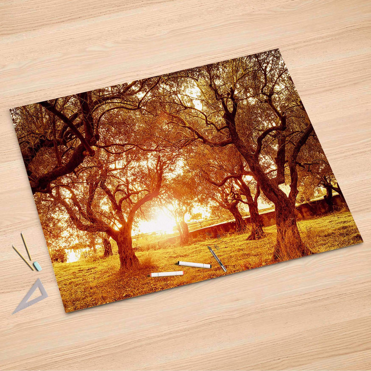 Folienbogen (150x100cm) - Tree Sunlight - CR106722