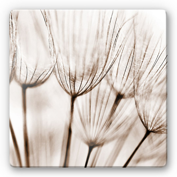 Glasbild Fliegerschirmchen - quadratisch - WA122995