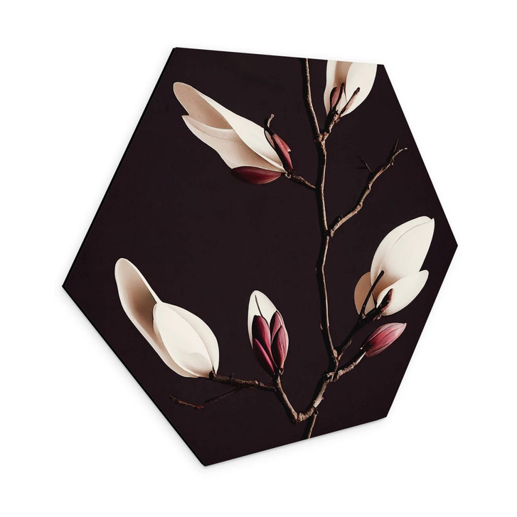 Hexagon Wandbild Edle Magnolienblüten - Alu-Dibond - Treechild - WA394699