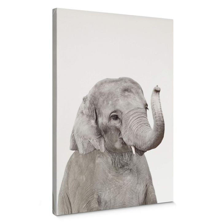 Leinwandbild Sisi & Seb - Baby Elefant - WA374760