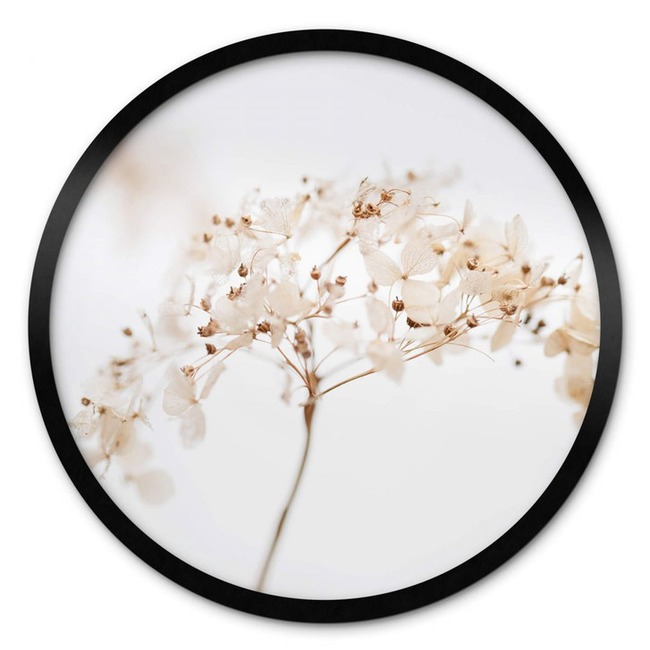 Poster 1X Studio - Zweig mit zarten Blüten - Rund - WA354963