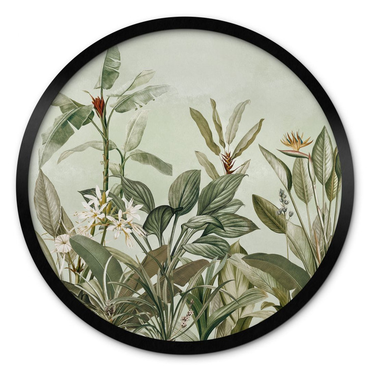 Poster Tropische Botanik - UN Designs - Rund - WA408948