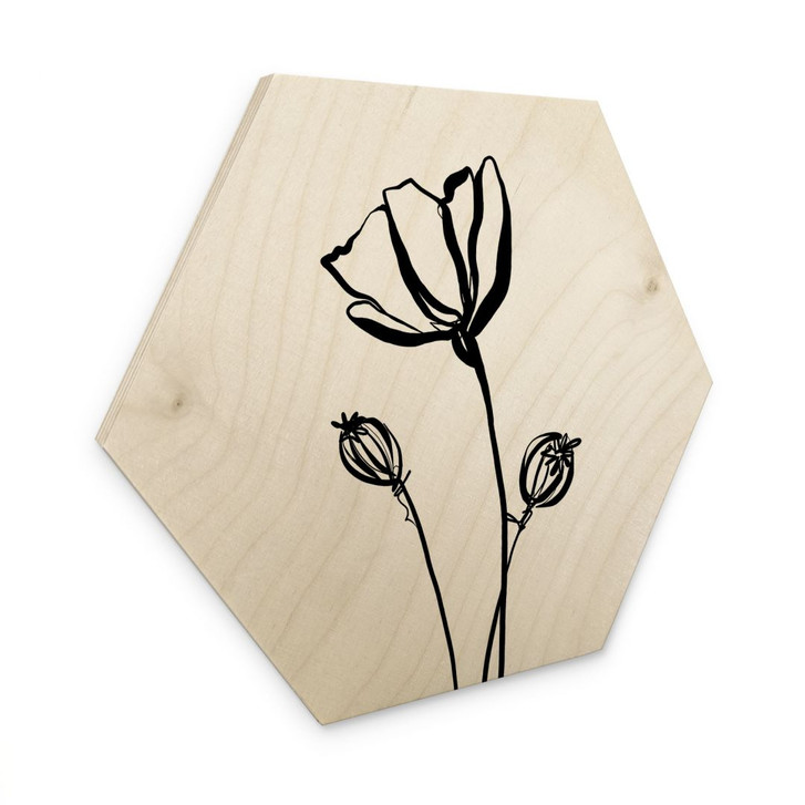 Hexagon Holzbild Line Art Mohnblume - Cats & Dotz - WA495321