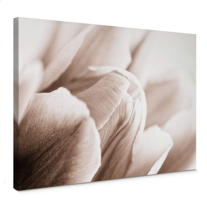 Leinwandbild Tulpe im Detail - WA376477