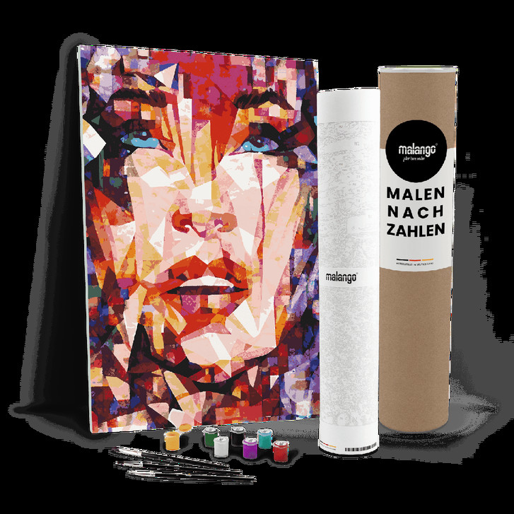 Malen nach Zahlen Leinwandbild - Frau mit blauen Augen abstrakt - WA447032