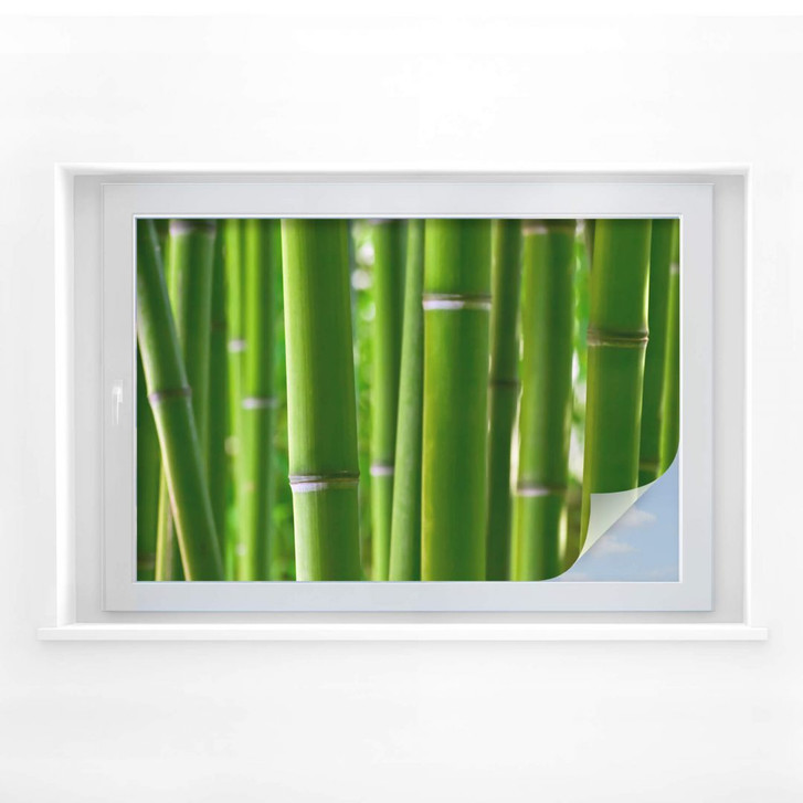 Sichtschutzfolie Bambuswald - WA173879