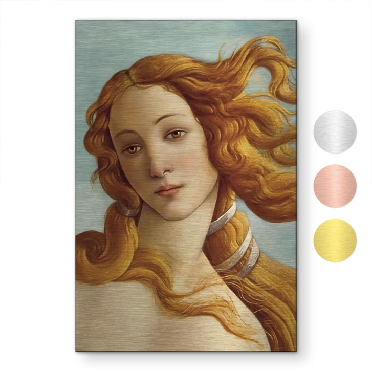 Alu-Dibond gebürstet mit Goldeffekt - Portrait der Venus - Botticelli - WA514875
