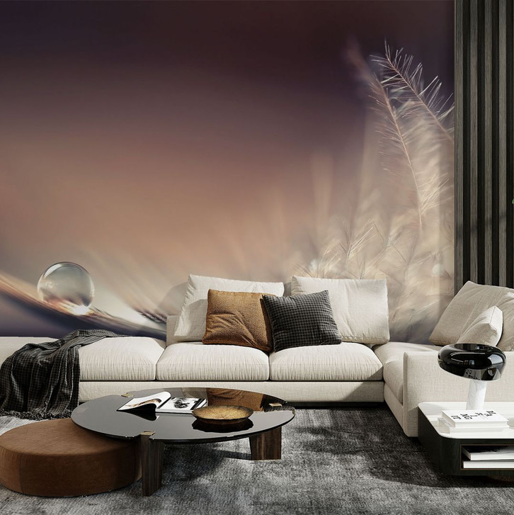 Fototapete Dmitry - Story of a Waterdrop - Federn Tapete - WA297549