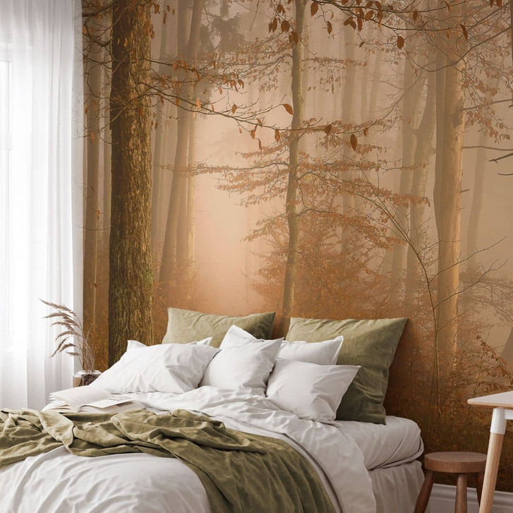 Fototapete Waldtapete - Dunst und Licht im herbstlichen Wald - Maier - WA449584