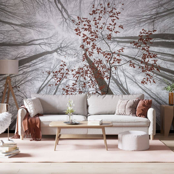 Fototapete Wald und Bäume - Baumkronen mit roten Blättern - Coman - WA398443