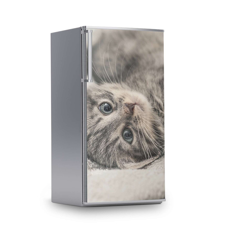 Kühlschrankfolie 60x120cm - Kitty the Cat - CR112860