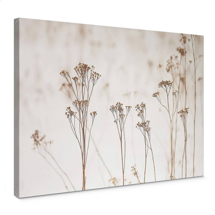 Leinwandbild Hohe Gräser - WA321834