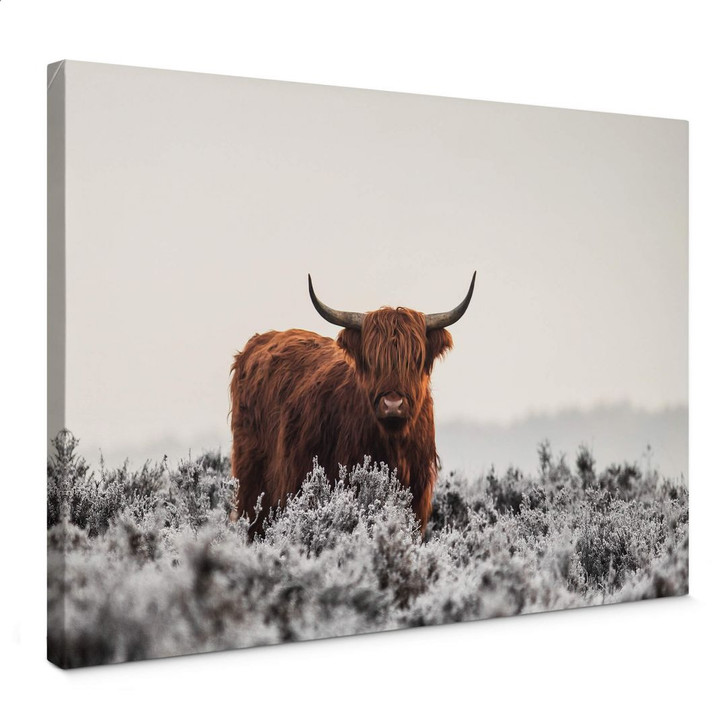 Leinwandbild van den Helm - Highlander - WA378440