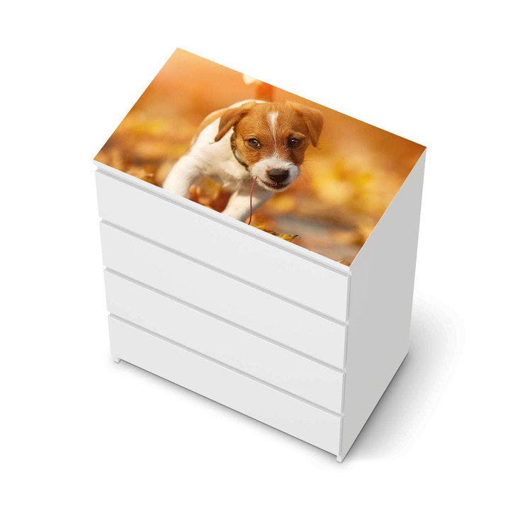 Möbelfolie IKEA Malm Kommode 4 Schubladen oben - Jack the Puppy - CR116476