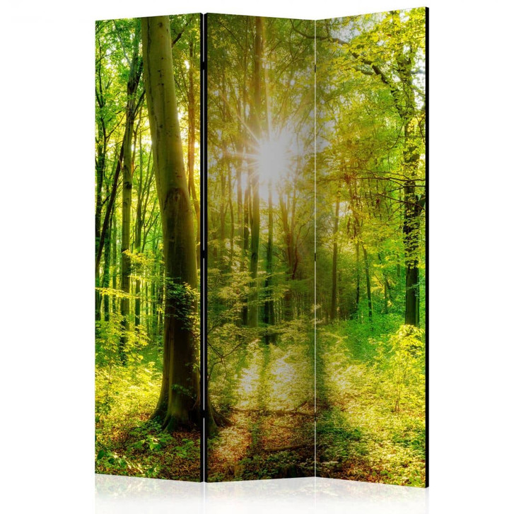Paravent, Raumteiler freistehend, Trennwand - Wald-Strahlen - WA455592