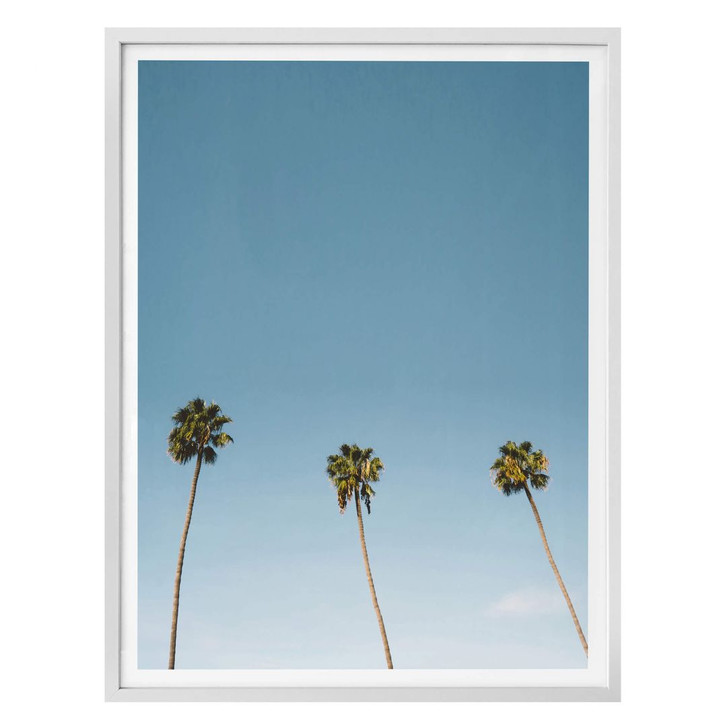 Poster Palmen 02 - WA165460