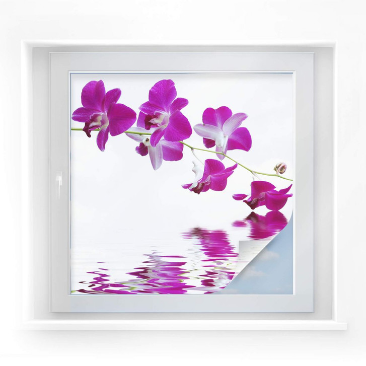 Sichtschutzfolie Blütenzweig - quadratisch - WA174194