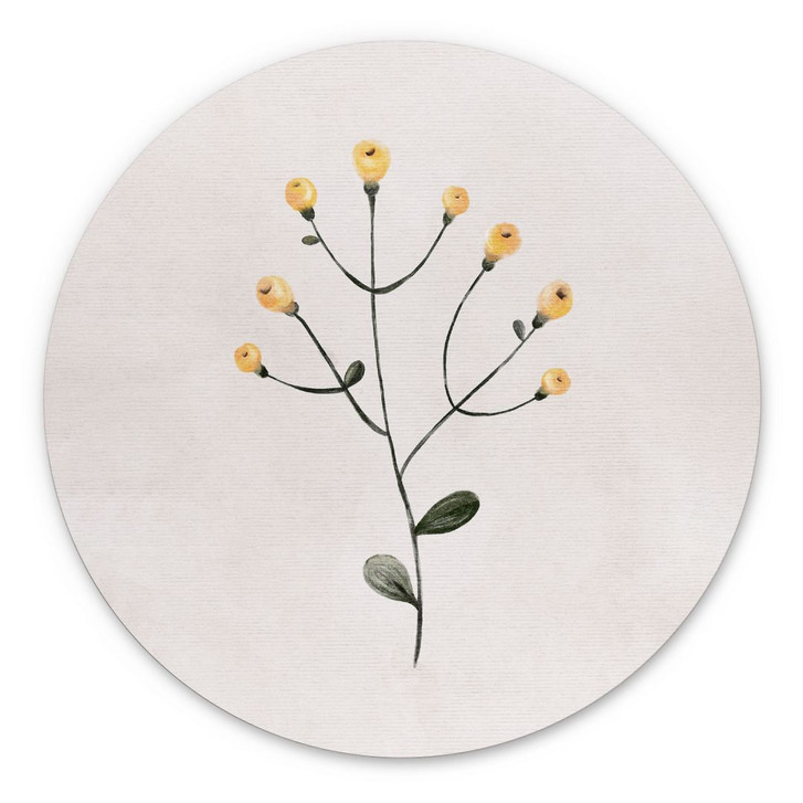 Wandbild Zarte Pflanze mit gelben Blüten - Goed Blauw - Alu-Dibond Rund - WA484834