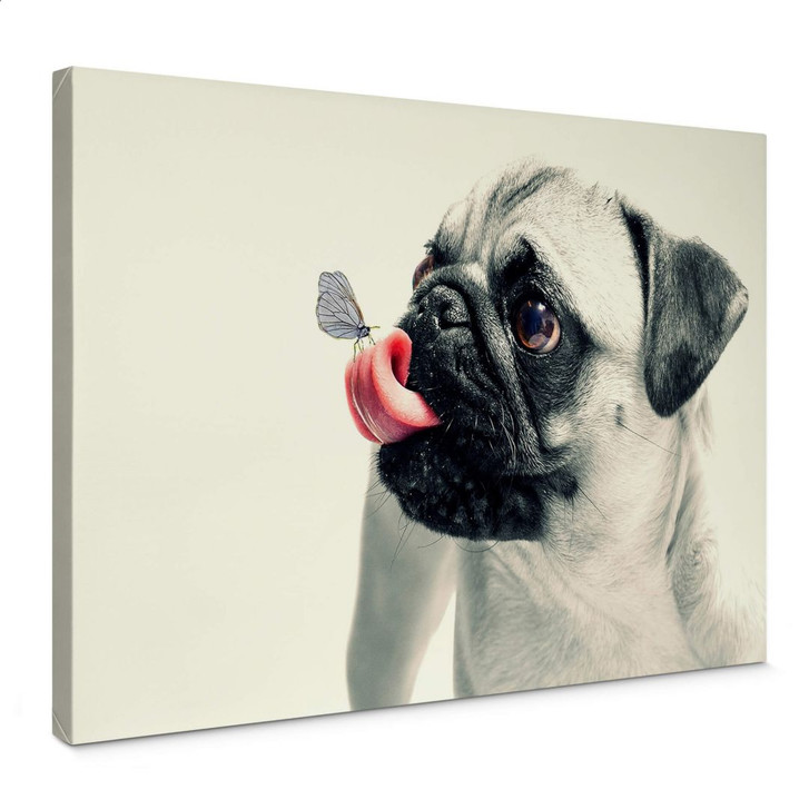 Leinwandbild Tierische Zuneigung - WA376002