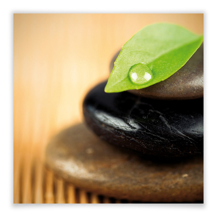 Poster Wellness Stone - WA168360