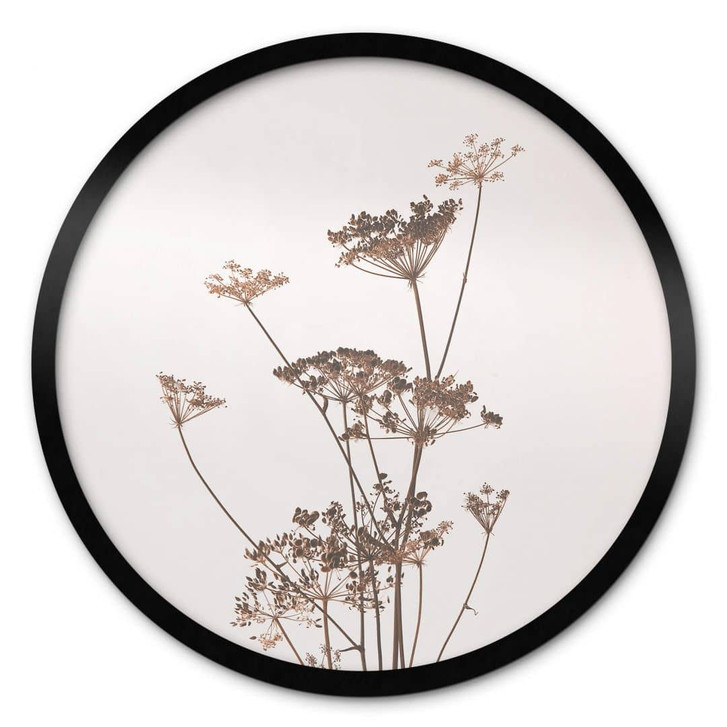 Poster Wilde Gräser - Rund - WA329293