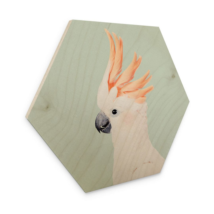 Hexagon-Holzbild Tierporträt Rosa Kakadu - Sisi & Seb - WA425514