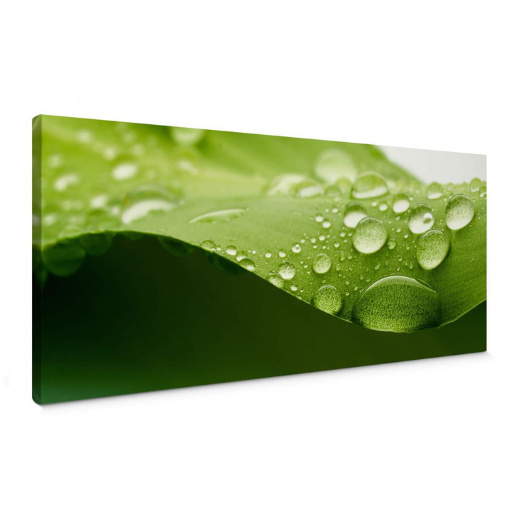 Leinwandbild Natur 3 - WA371060