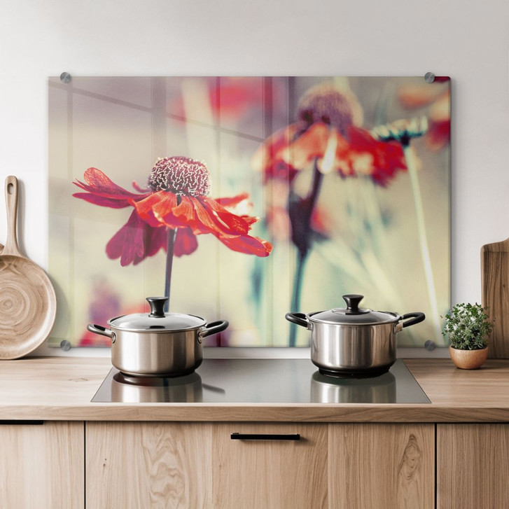 Spritzschutz Roter Sonnenhut - WA179314