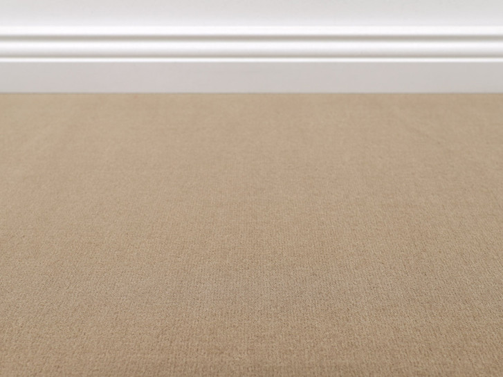 Vorwerk® Bingo Teppichboden Meterware in 8f91 - TS546290