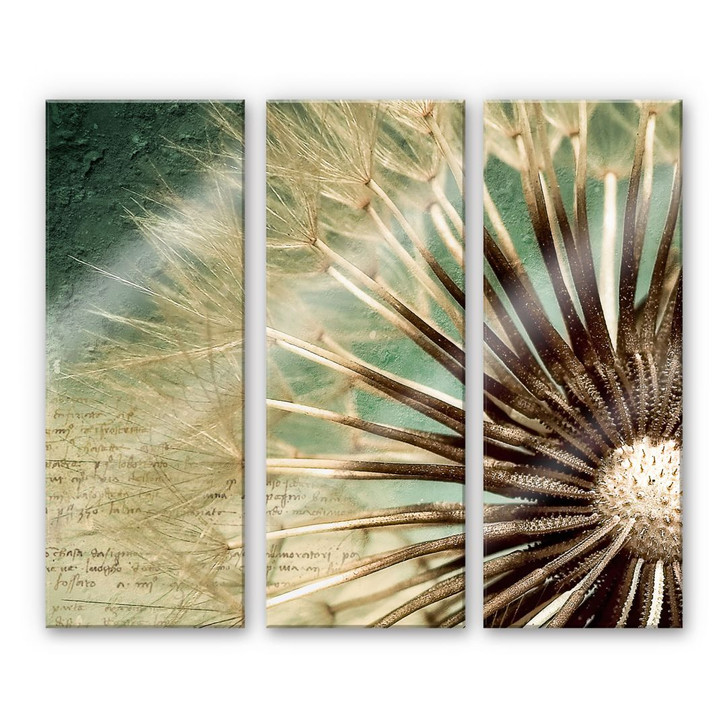 Acrylglasbild Pusteblumen-Poesie (3-teilig) - WA110625