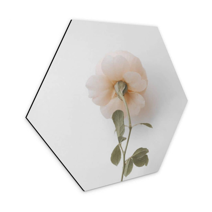 Hexagon - Alu-Dibond Annie - Die Rose - WA320668