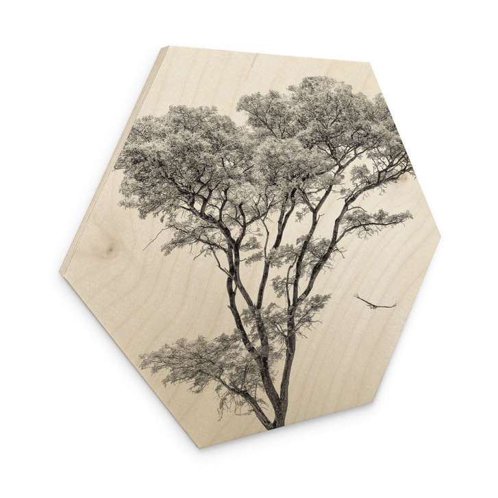 Hexagon Holzbild Minimalistischer Baum in ruhiger Landschaft - Flour - WA432346