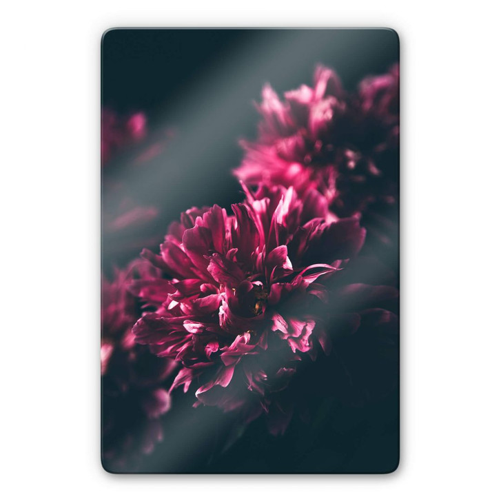 Glasbild Pink Flower Dream 01 - WA232383