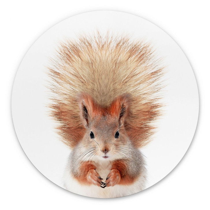 Alu-Dibond Kleines Eichhörnchen - Sisi & Seb - Rund - WA422992
