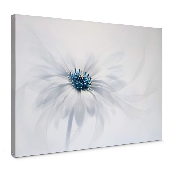 Leinwandbild Parker - Frozen Flower - WA372488