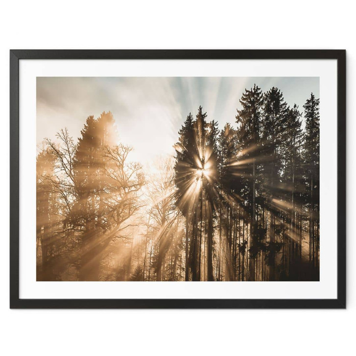 Natur Poster Lichtstrahlen im Wald - Eisenmann - WA435824
