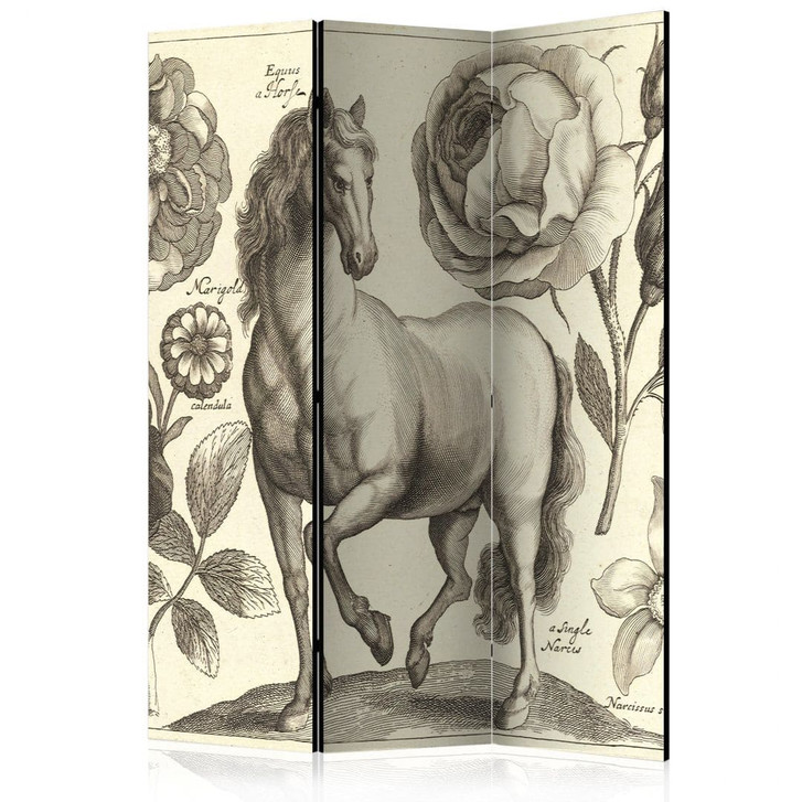 Paravent, Raumteiler freistehend, Trennwand - Pferd, 3-teilig - 135 x 172 cm - WA454691