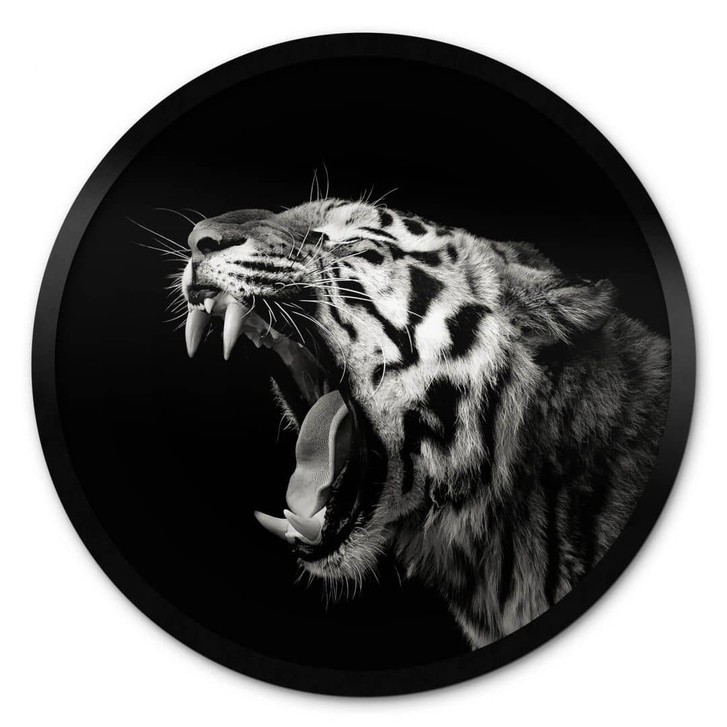 Poster Meermann - Der Tiger - Rund - WA329031