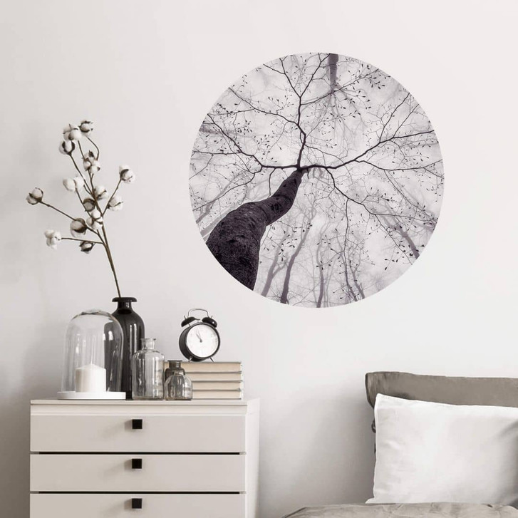 Wandtattoo Pavlasek - Ein Blick in die Baumkronen - Rund - WA351016