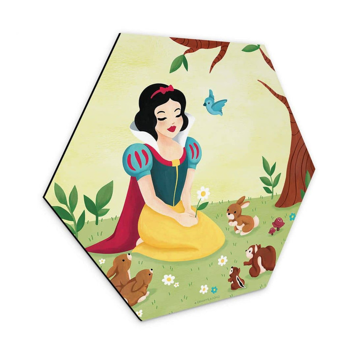 Hexagon - Alu-Dibond Tohmé - Schneewittchen - WA332674