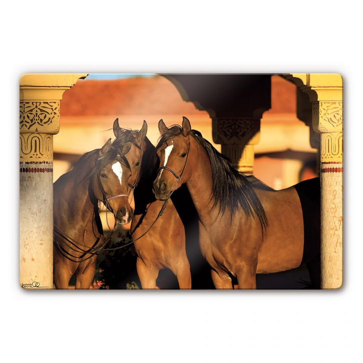 Glasbild Boiselle - Edle arabische Vollblutstuten - WA121310