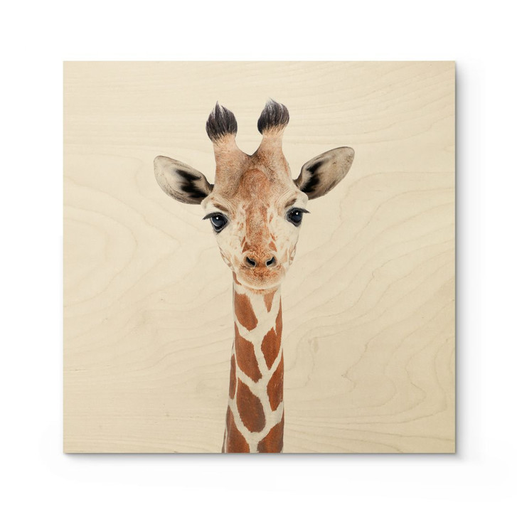Holzbild Baby Giraffe - Sisi & Seb - Quadratisch - WA401341