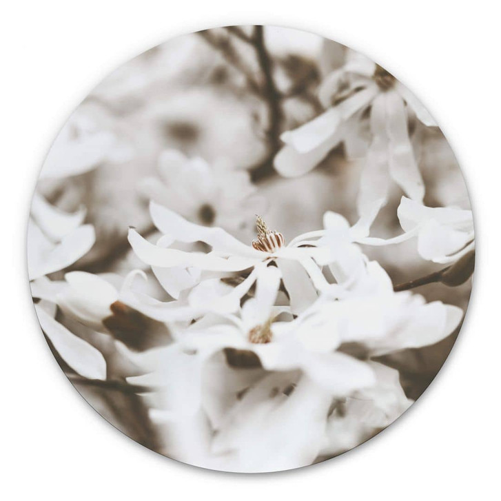Alu-Dibond Annie - Jasmin - Rund - WA313828